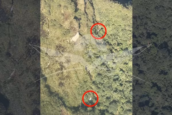 Bogotá (EFE).- Las autoridades colombianas encontraron este miércoles sin vida a los cinco ocupantes del avión Cessna T-206 que se accidentó el domingo pasado en el centro-oeste del país, confirmó el presidente, Abelardo de la Espriella. La aeronave, un Cessna T206 de matrícula HK4985, despegó del aeropuerto del municipio de Condoto, en Chocó, con destino al aeropuerto de Guaymaral, en Bogotá, y tuvo su último contacto con las autoridades a las 9:23 hora local (14:23 GMT), sobre una zona boscosa entre los departamentos de Chocó y Risaralda donde la hallaron los equipos de búsqueda.