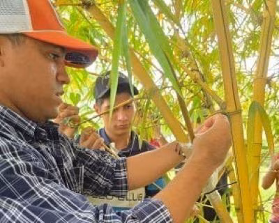 Revisaron las resoluciones que dieron origen a CONABA y el Plan Nacional del Bambú 2025-2030.
