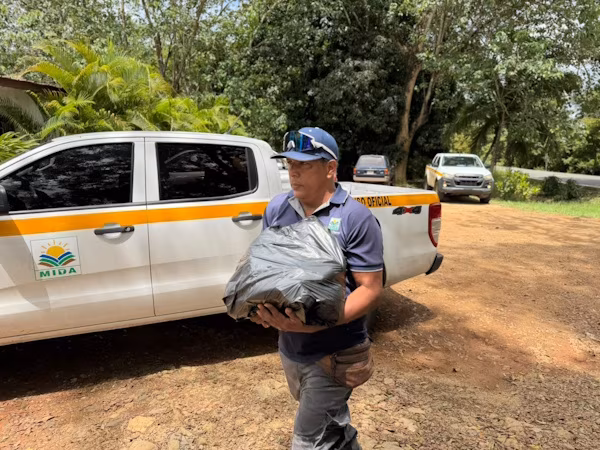 Con espíritu de solidaridad y compromiso con las comunidades, un grupo de colaboradores de la Dirección Regional del Ministerio de Desarrollo Agropecuario (MIDA) en Los Santos manifiestan su apoyo en los distintos centros de acopio de la provincia y la distribución de insumos a familias que al presente enfrentan una difícil situación, a raíz del reciente evento sísmico. Esta iniciativa, la cual fue coordinada por el director regional, Audemio Palomino, une esfuerzos en la institución con el fin de respaldar las labores de ayuda y acompañar a quienes atraviesan momentos de incertidumbre.