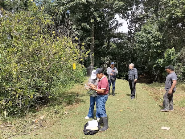 Técnicos de la Coordinación de Sanidad Vegetal y de la Agencia de Extensión de El Cacao del Ministerio de Desarrollo Agropecuario en Panamá Oeste, llevaron a ejecución una jornada de asistencia técnica en la finca del pequeño productor Walter Huterly, ubicada en la comunidad de Nazareno, corregimiento de Vista Alegre, dedicada al cultivo de limón persa. Durante esta visita se dio comienzo al proceso de acompañamiento técnico para la certificación de la finca bajo el sistema de producción orgánica, impulsado con esto prácticas agrícolas sostenibles y orientadas a una producción más amigable con el ambiente.