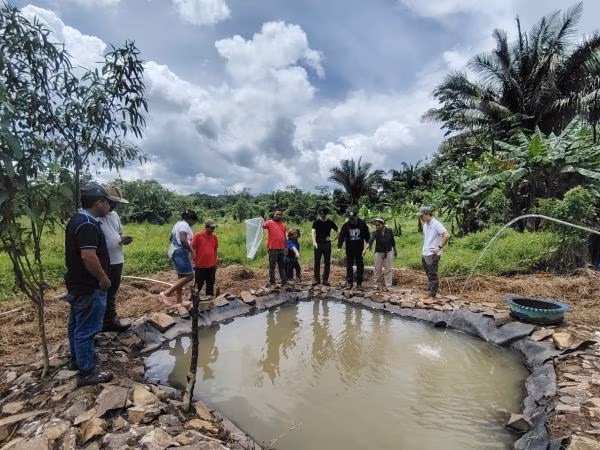 La producción de Tilapia es una de las más practicadas.